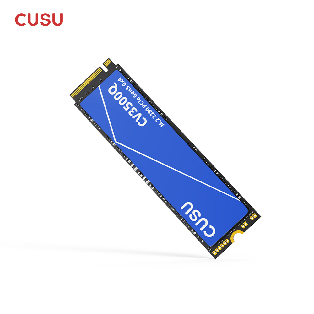 CUSU M2 SSD 1TB 2TB NVMe SSD 5 - Samsung Ssd Evo 870 recensione e prezzo